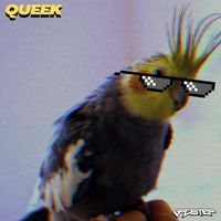 B4DST3P - Queek