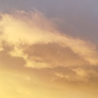 arash - Money, Schecks Und Drugs (Explicit)