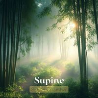 Sunset Chamber - Supine