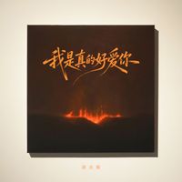 洛天依 - 我是真的好想你