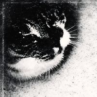 Kamo - No Longer Human