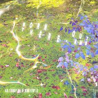 Ams - Born Out There