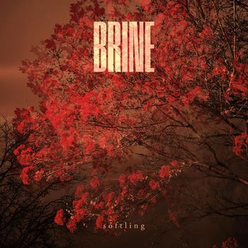 Brine - Softling (Explicit)