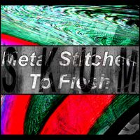 SKUM - Metal Stitched to Flesh (Explicit)