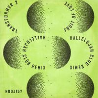 Transformer 2 - Fruit Of Love (Hallelujah Club Remix)