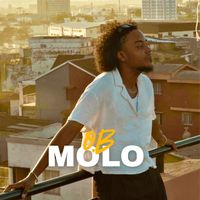 O.B - MOLO