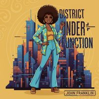 John Franklin - District Underfunction
