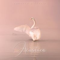 Roberto Citterio - Acustica