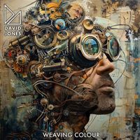 David Jones - Weaving Colour