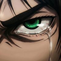 racoon - THE FOUNDER