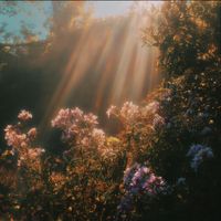 elysian - Resting in What He Holds