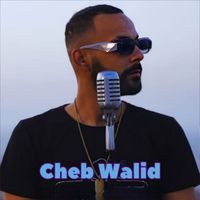 Cheb Walid - Darha zhar w 3liya chanaf (Remix [Explicit])