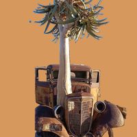 Giuliano Costantini - Deserti e relitti.