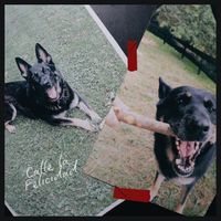 Pela - Calle La Felicidad