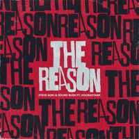 Steve Aoki, Sound Rush feat. Hoobastank - The Reason