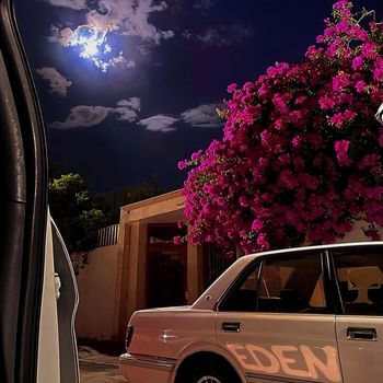 CIRO - EDEN
