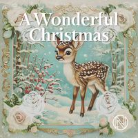 Peter Mills - A Wonderful Christmas