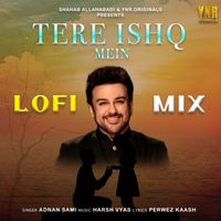 Adnan Sami - Tere Ishq Mein (Lofi Mix)
