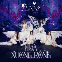 LUNAS - Hoa Xương Rồng