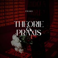 Primo - Theorie Und Praxis