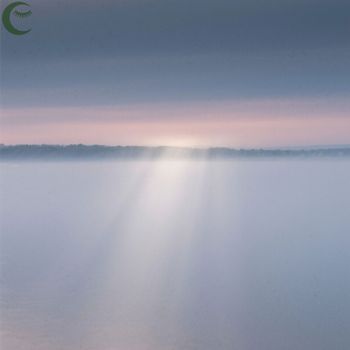 Dewdrop Dreams - Soothing Stream