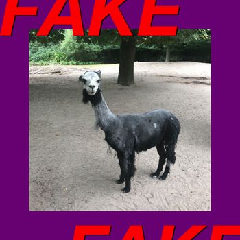 Fake - EP