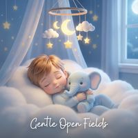 Musiscape - Gentle Open Fields