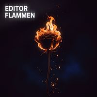 Editor - Flammen