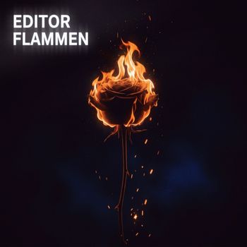 Editor - Flammen