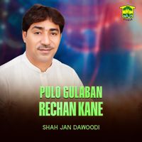 Shah Jan Dawoodi - Pulo Gulaban Rechan Kane