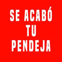 ZAZZU - Se acabó tu pendeja (Explicit)