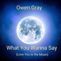 Owen Gray - What You Wanna Say (Love You to the Moon) (Explicit)