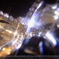 Navy Blue - HIELO