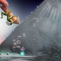 Montezuma - Bosque Delantero