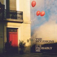The Moleskins - It's Probably Me