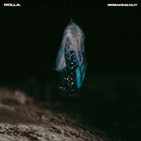 Rolla - Breaking Out