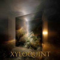 XYLOQUINT - Photonics Circuits Idea