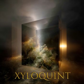 XYLOQUINT - Photonics Circuits Idea