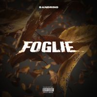 Sandrino - FOGLIE (Explicit)