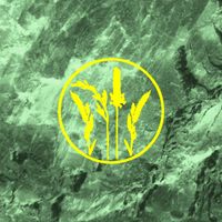 LIFE - Wild Grasses (Explicit)