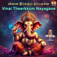 B Balaram - Vinai Theerkkum Nayagane (Karaoke)