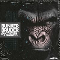 BunkerBrüder - Can You Turn the Bass Down