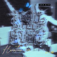 王睿卓 - 花田错 (DJ版)