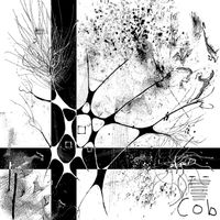 Cob - Embedded