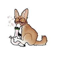 tripod - dolphin (Explicit)