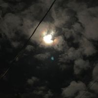 tripod - ptsd bootleg128kbps (Explicit)