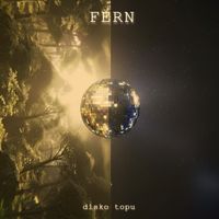 FERN - disko topu