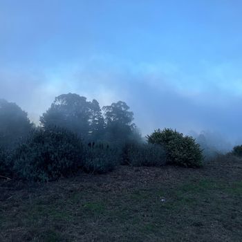 tripod - no harm in it now