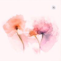 Anna Koller - Mendelssohn: Lieder ohne Worte I, Op. 19b: II. Andante espressivo, MWV U80