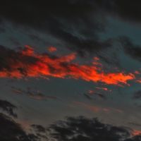 Jack Hopkins - Petrichor
